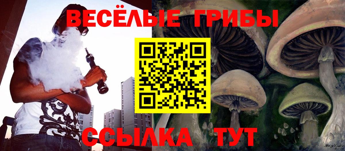 Псилоцибиновые грибы мухоморы Саратов