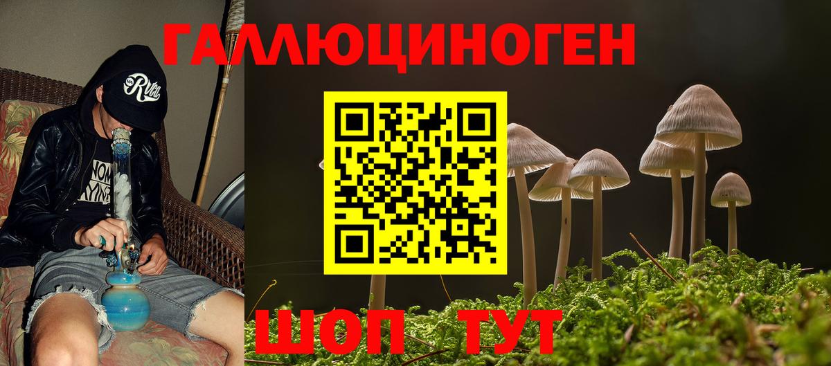 Галлюциногенные грибы прущие грибы  Псилоцибиновые грибы Magic Shrooms  что такое   Вход с VPN  Саратов 